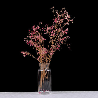 Transparent Glass Vases